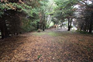 Photo 18- click for photo gallery